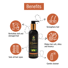 Load image into Gallery viewer, V-Truss Organics Advance Hair Nourishment Shampoo, Paraben free

